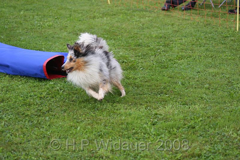 jubil.lusten. 049.jpg